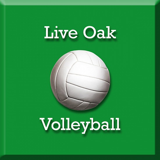 Live Oak Volleyball League