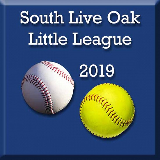 South Live Oak Little League 2019