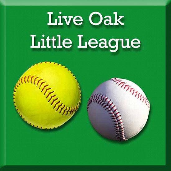Live Oak Little League